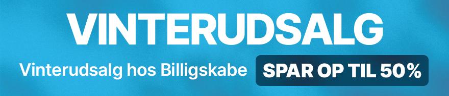 Vinterudsalg